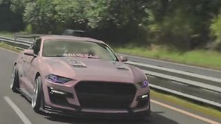 Solo Race mustangs550