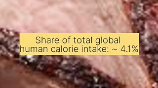5 Most popular foods in the world