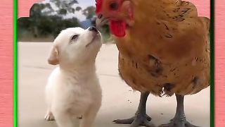 File name VID-20240111-WA0023.