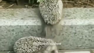 Nice video 171
