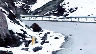 Gilgit Snowfall View