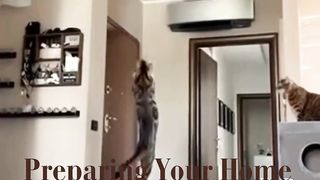 MEREKA MEMANG LUAR BIASA... (Funny Cats#2)