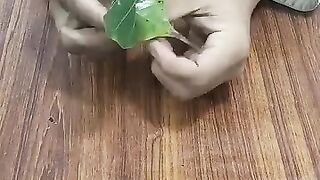 The art of art