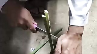 The kajoor