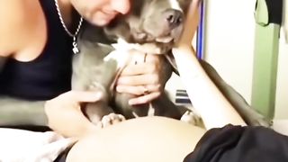 The best big brother