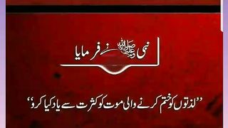 اسلامی معلومات Like share follow 453