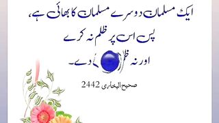 اسلامی معلومات Like share follow 448