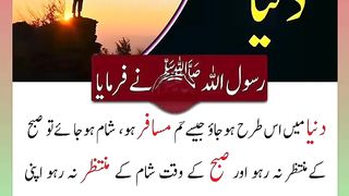 اسلامی معلومات Like share follow 454