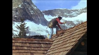 The Further Adventures of the Wilderness Family (1978)