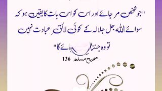 اسلامی معلومات Like share follow 451