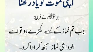 اسلامی معلومات Like share follow 459
