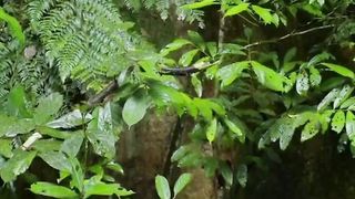 Beautiful nature 152