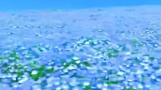 BEAUTIFUL SCENERY 4