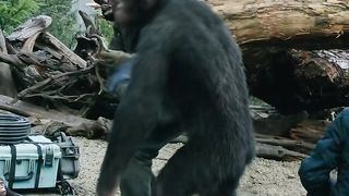 English Movies Clips.