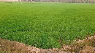 The most gorgeous village view ????
