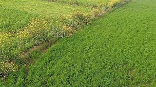Great village view