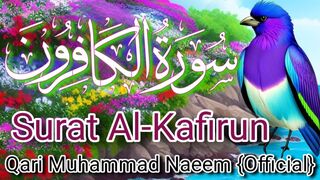 Short Status / Short video / short tilawat / short quran recitation/ beautiful quran / quran ki tilawat