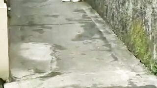 Mpuuuus Oyen Sang Preman