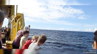 Cross the island by ferry 2