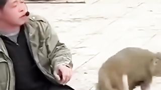 Чего и ожидалось