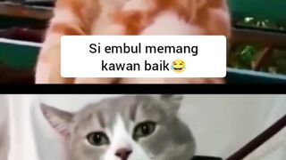 Si Mbuuul Emang Kawan Baik