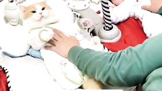 Mami Lebih Sayang Kocheng