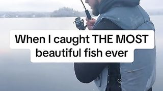 Amazing videos vol 250