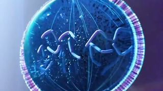 Creation of Cells