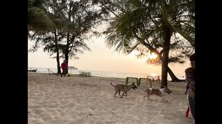 Enjoy your life On the beach .