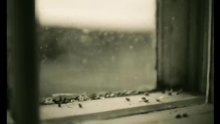 Adele - Hello 3