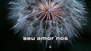 Palavra do hoje