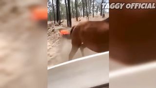 PART 2 COMPILATION OF FUNNY VIDEOS 2024!