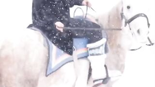 Styles of winter