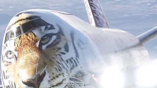 Amazing videos vol 251