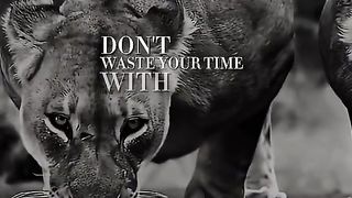 Motivational video 53
