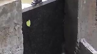 Regardez ce video 1141