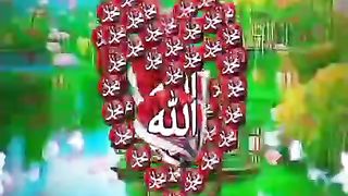 new naat viral video #capcut #tiktok #grow #500k #fyp #tranding #foryou #dance #newtrand #kanwalcutegirl #abibi845821#febspot#allah
