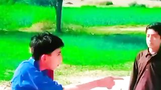 Funny videos 510