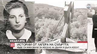 ДОМЪТ НА ХУЛИГАНИТЕ В БЕЛЕНЕ