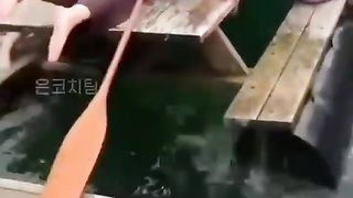 Kumpulan vidio lucu terbaru bikin ngakak
