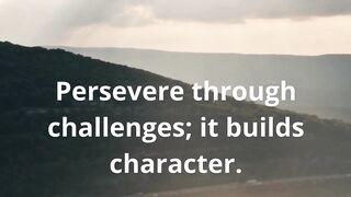 Perseverance