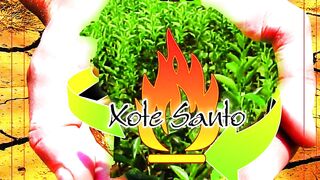 Xote santo - A Semente