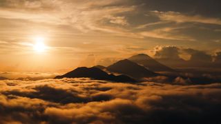 "Spirit of the Wild: Revelations from the Heart of Earth's Beauty"