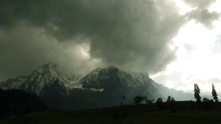 "Secrets of the Wild: Immersive Encounters with Earth's Hidden Treasures"