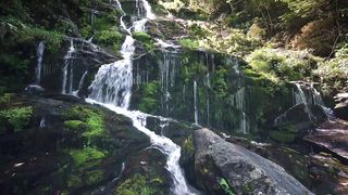 "Ethereal Earth: Revelations from Nature's Timeless Tapestry"