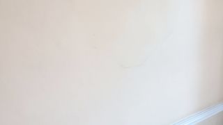 Before Painting and decorating