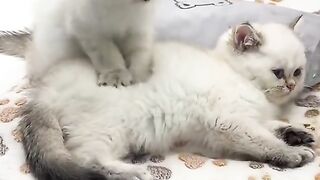 For more love, share the video with your friends