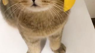 لا تنسى دعمي بهدية 4