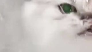 تحب السباحة