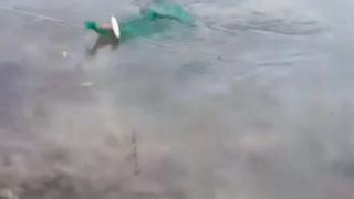 Fishing 40